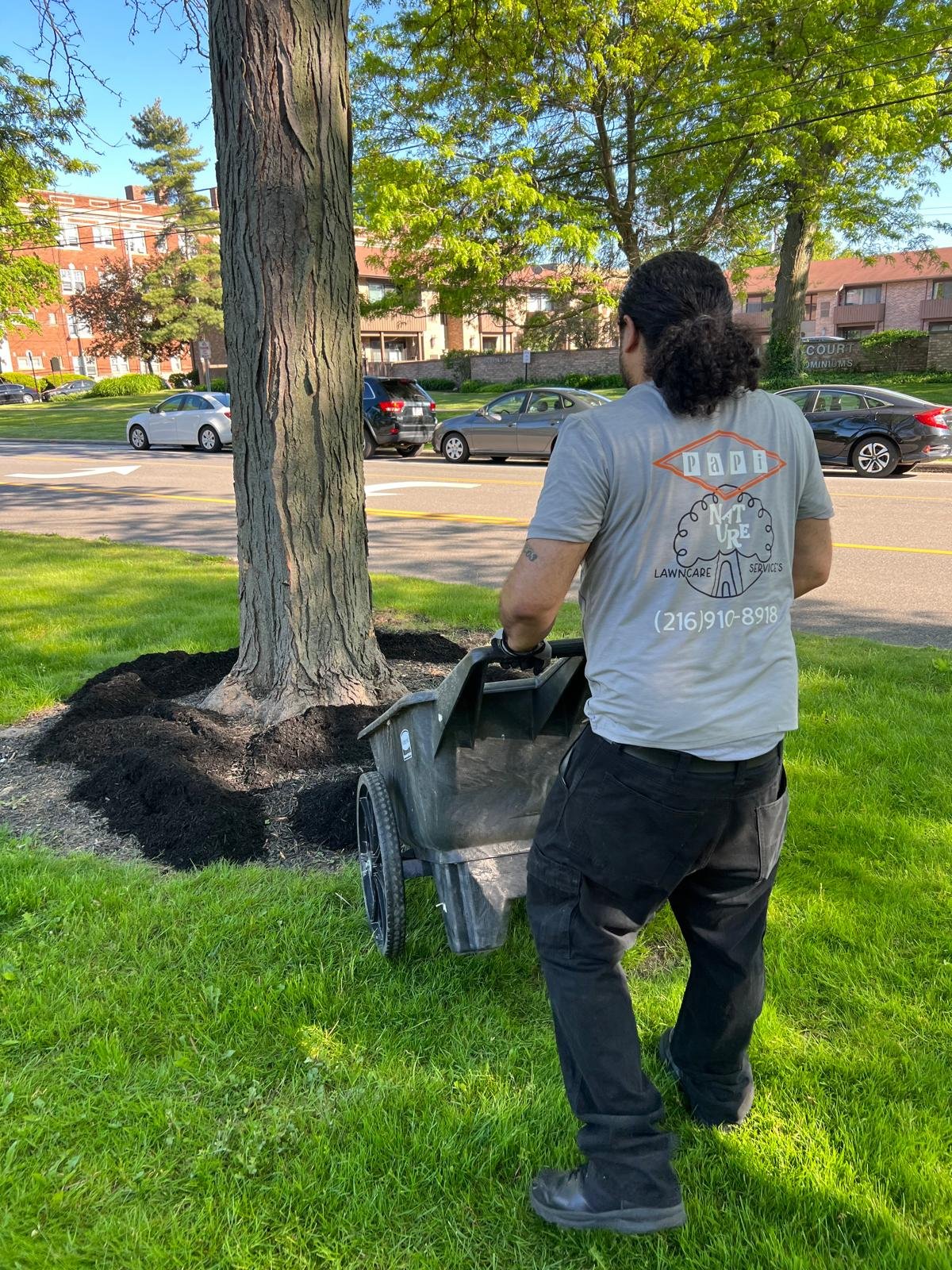 lakewood lanscaper 2